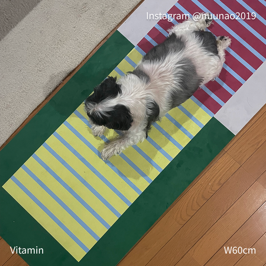 8ed Studio Vitamin Canvas Stretch Mat|ペットと一緒に使えるヨガマット・引っ掻きに強いスエード生地