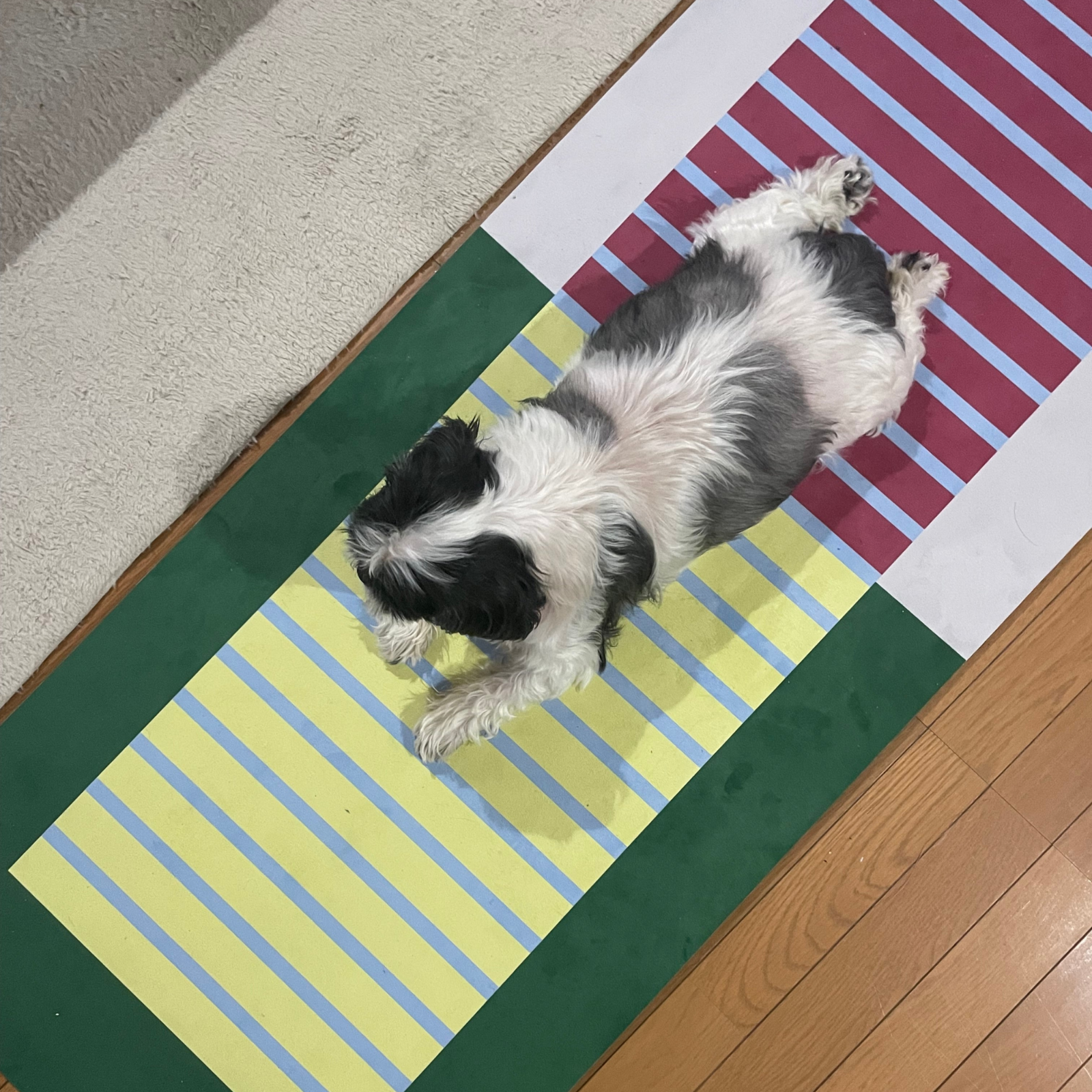 8ed StudioのCanvas Stretch Mat|インテリアになじむデザイン性と快適な使い心地を兼ね備えたストレッチ・ヨガマット